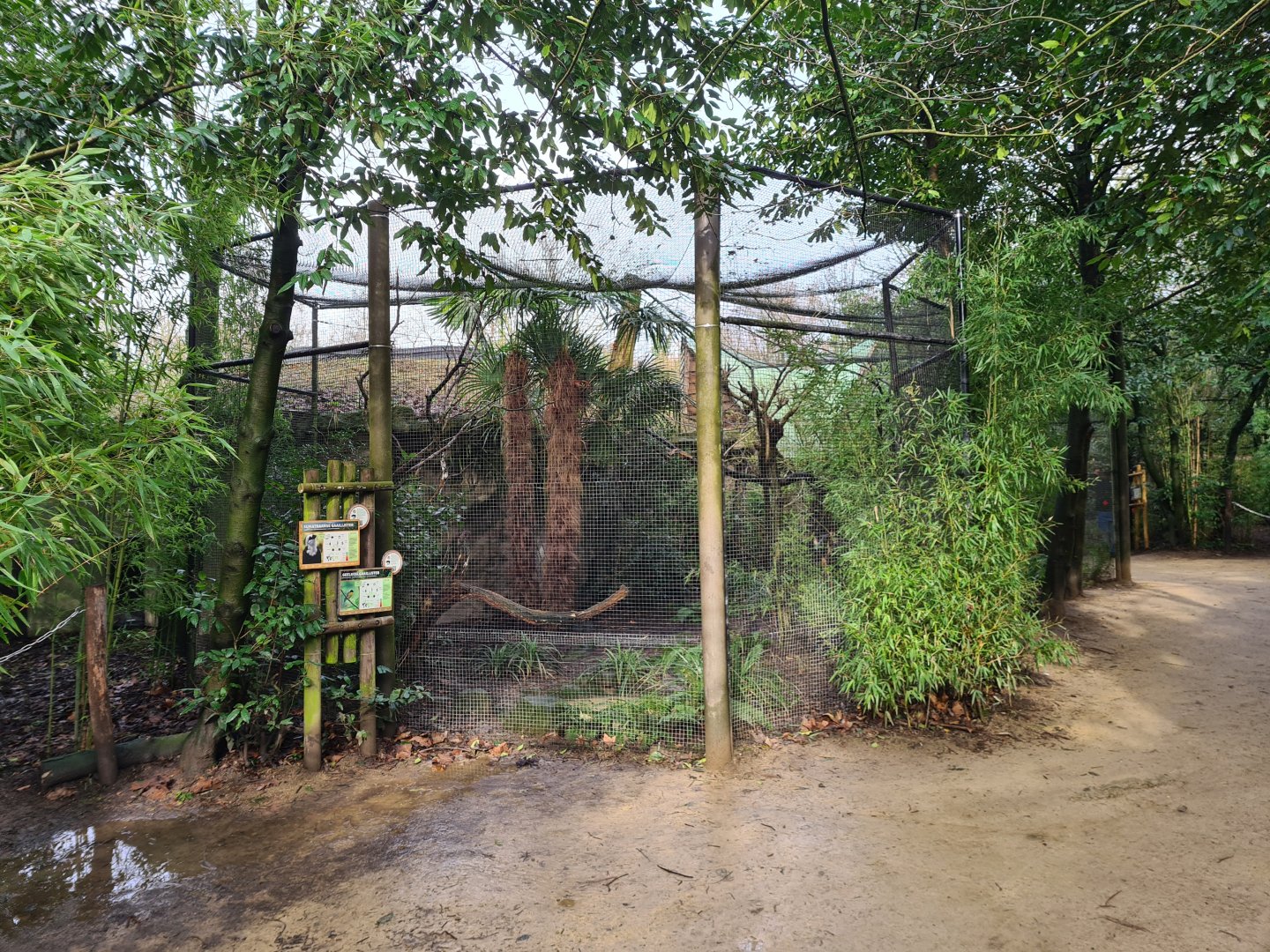 Asia - Aviary in Malaysian forest edge