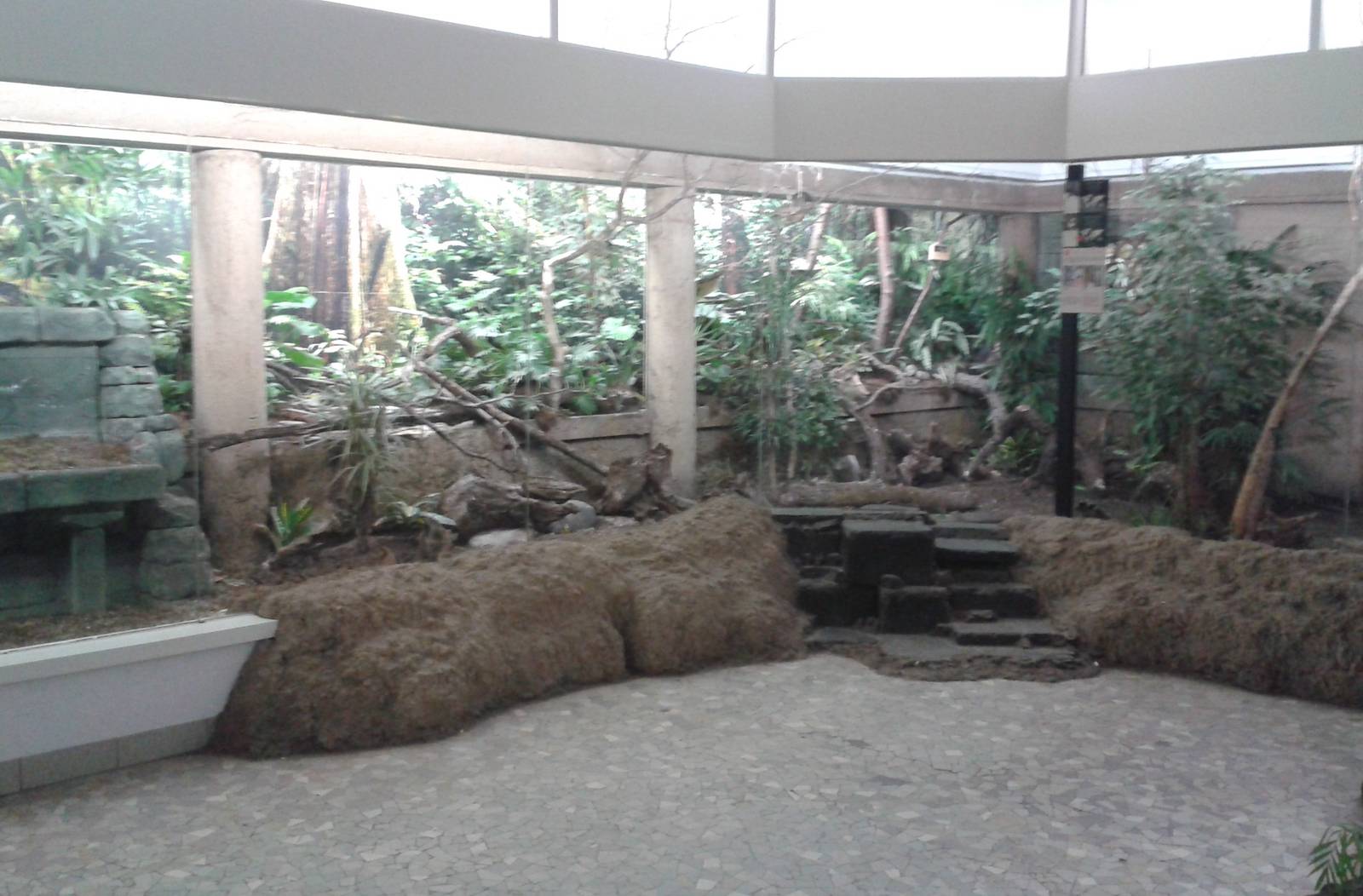 Asia aviary