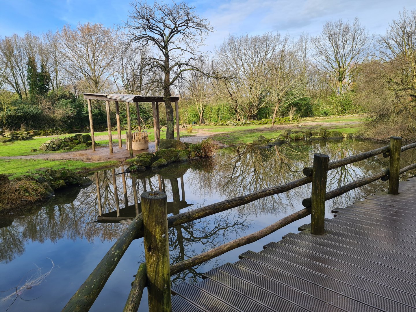 Asia - Bactrian camel enclosure