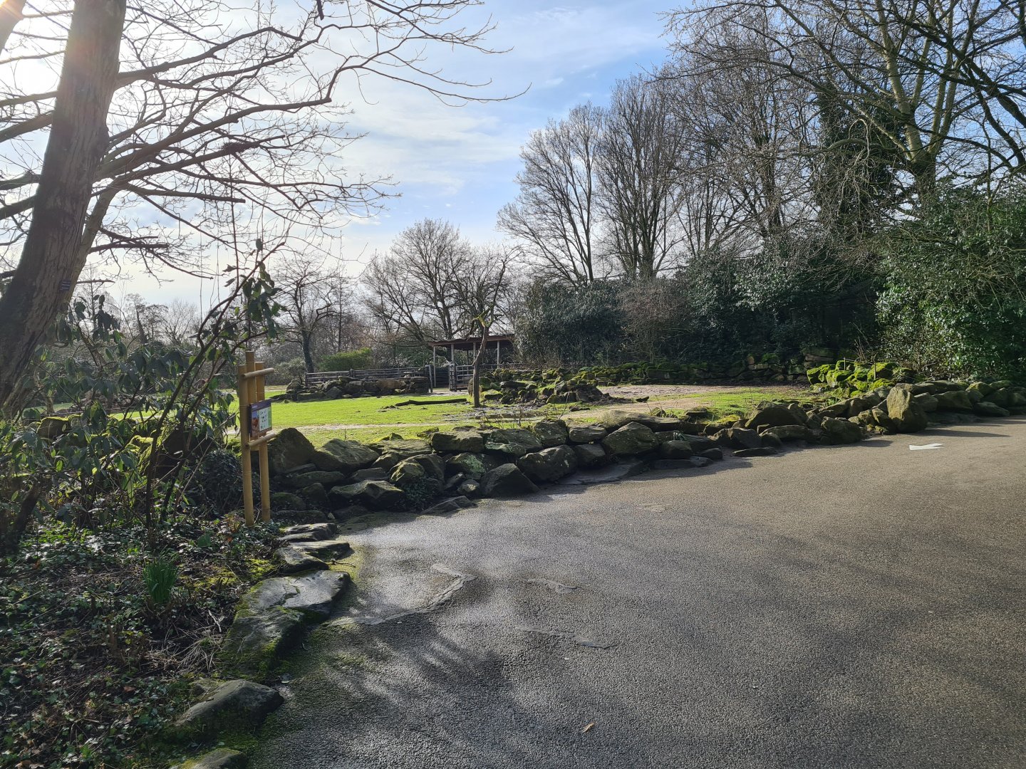 Asia - Bactrian camel enclosure