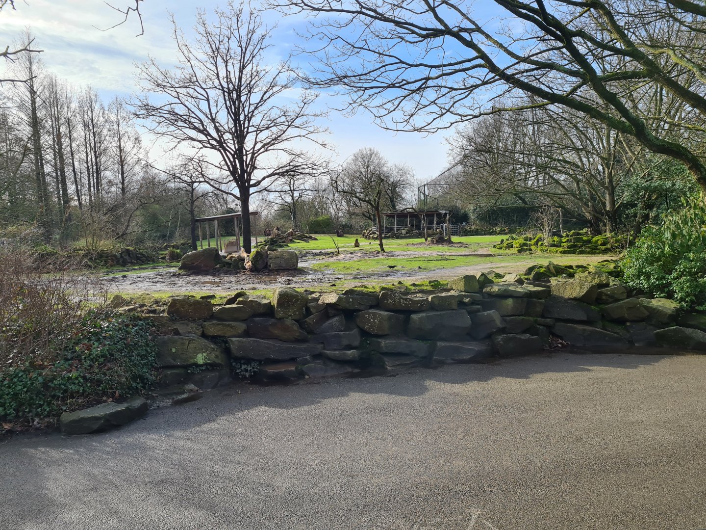 Asia - Bactrian camel enclosure