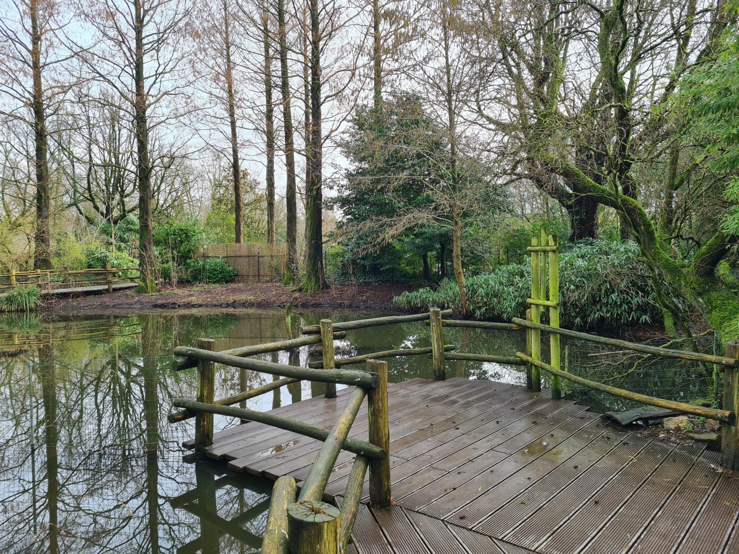 Asia - Boardwalk in Asian swamp