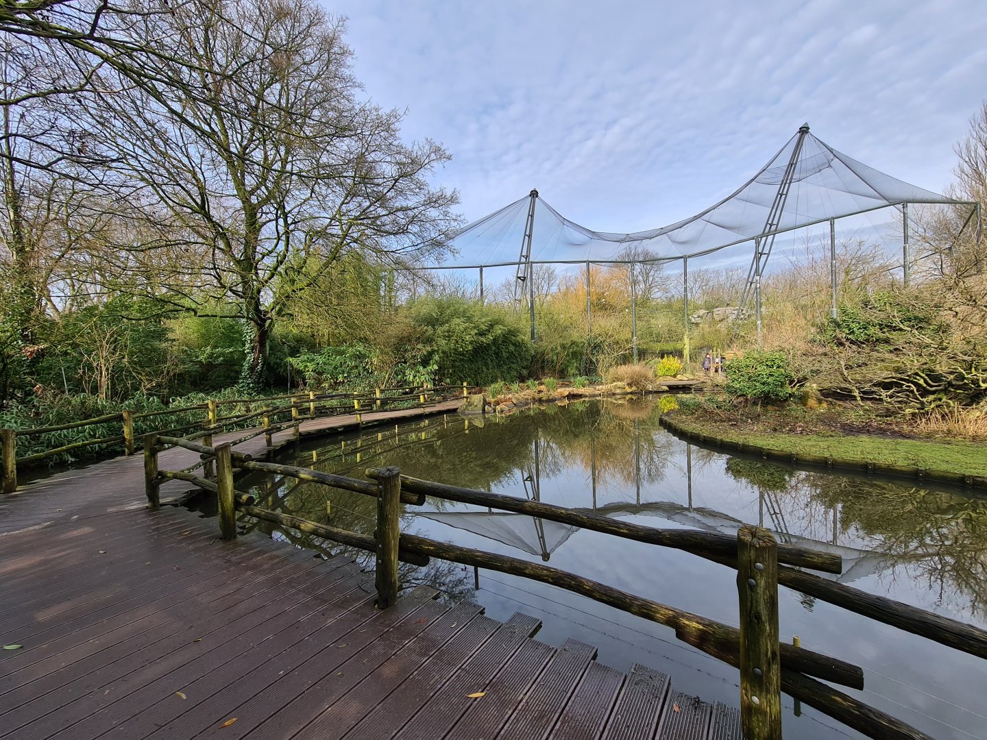 Asia - Boardwalk in Asian swamp