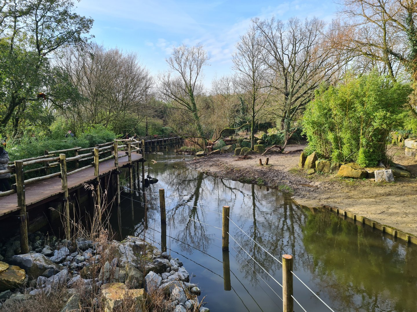 Asia - Boardwalk past Indian Rhinoceros enclosure