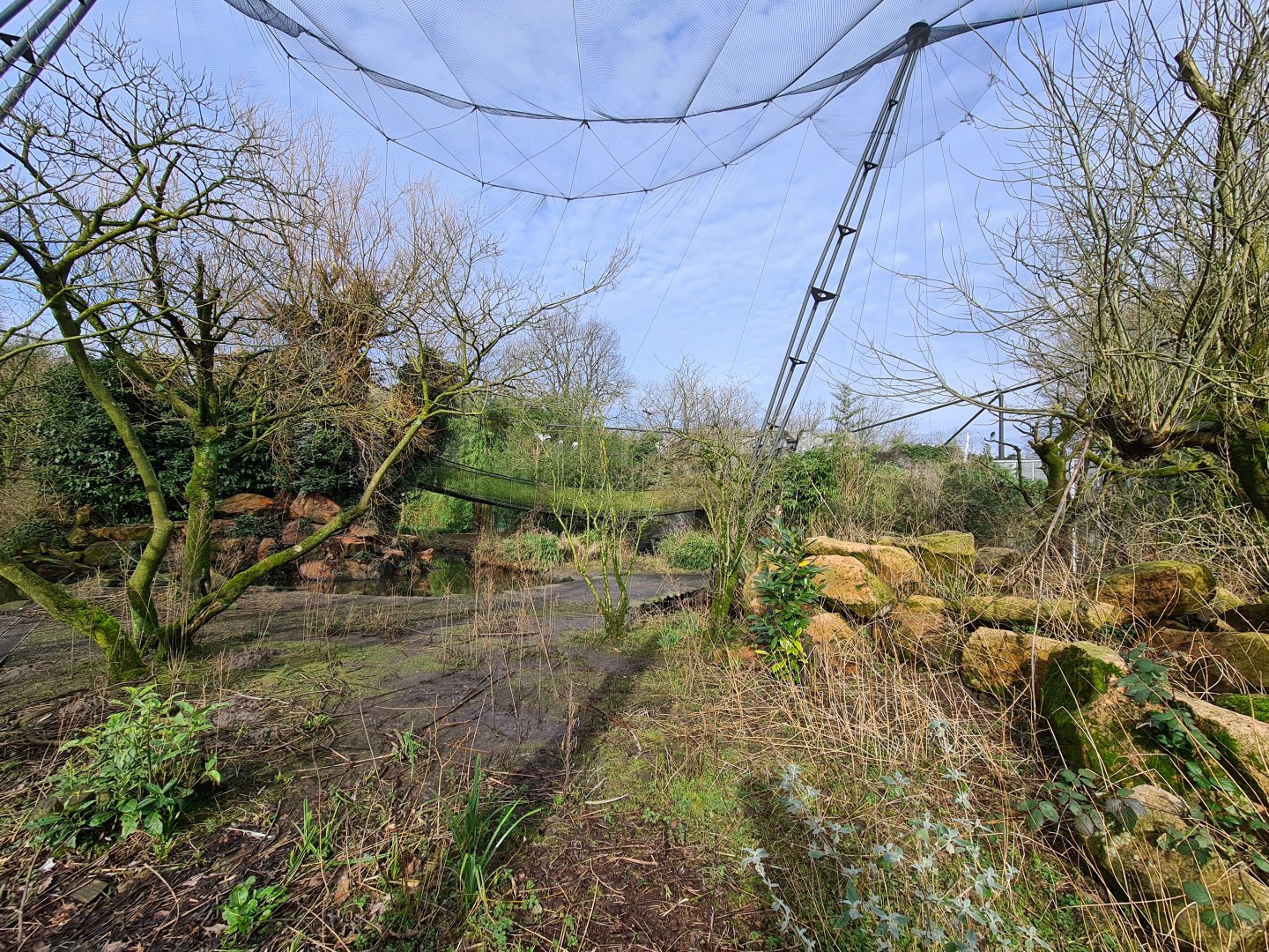Asia - Burung Asia aviary interior