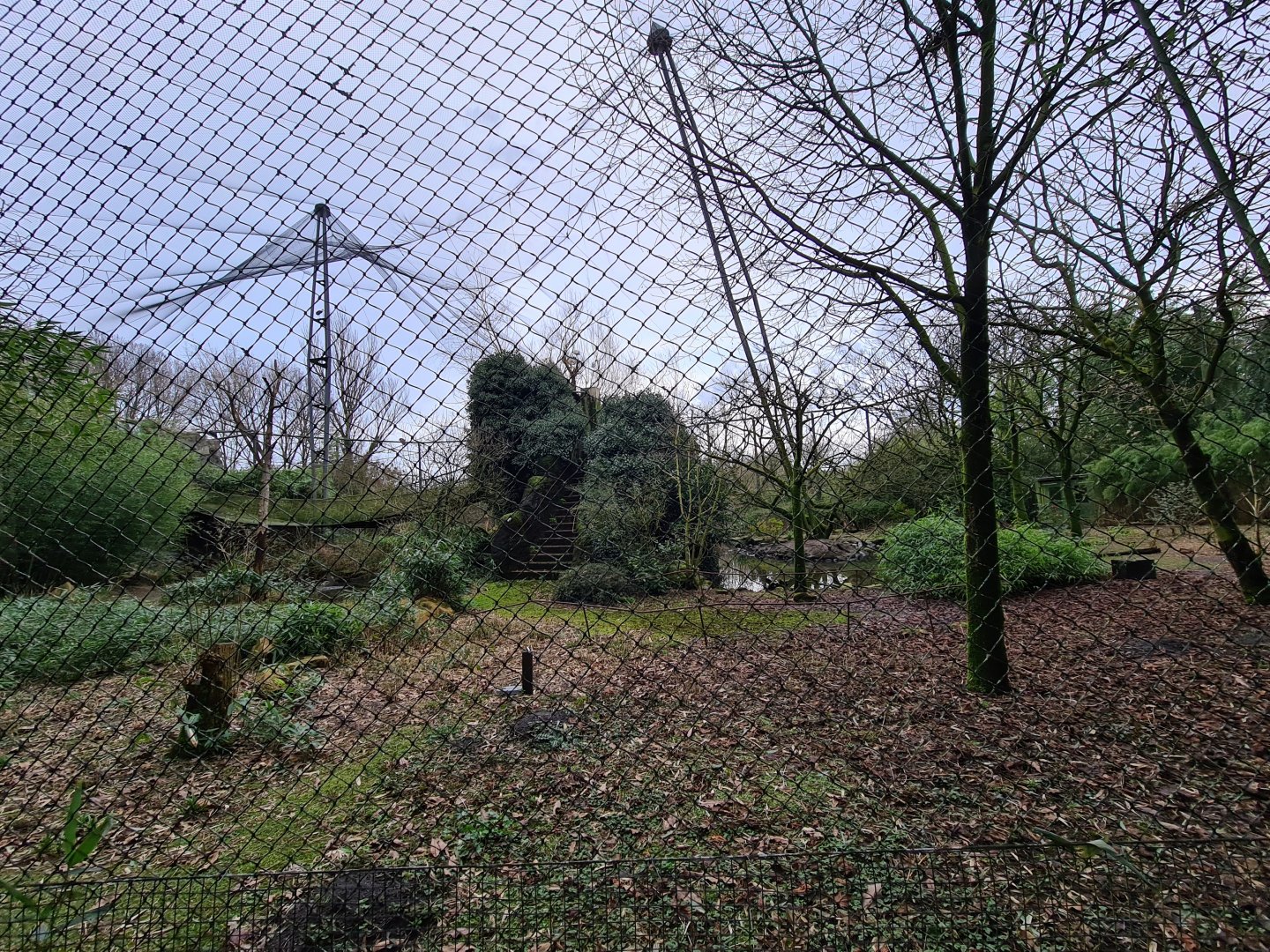 Asia - Burung Asia aviary interior