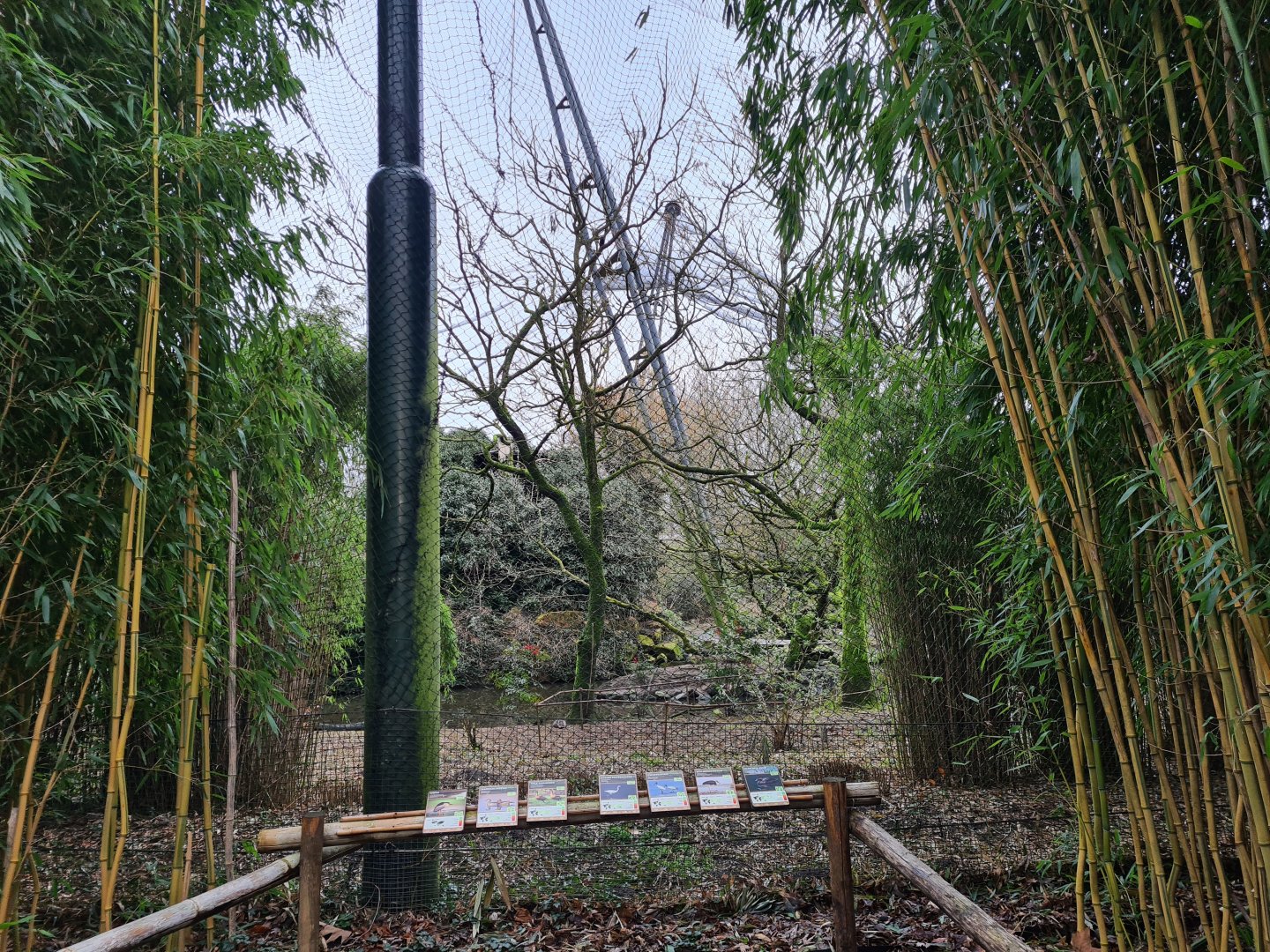 Asia - Burung Asia aviary viewing point