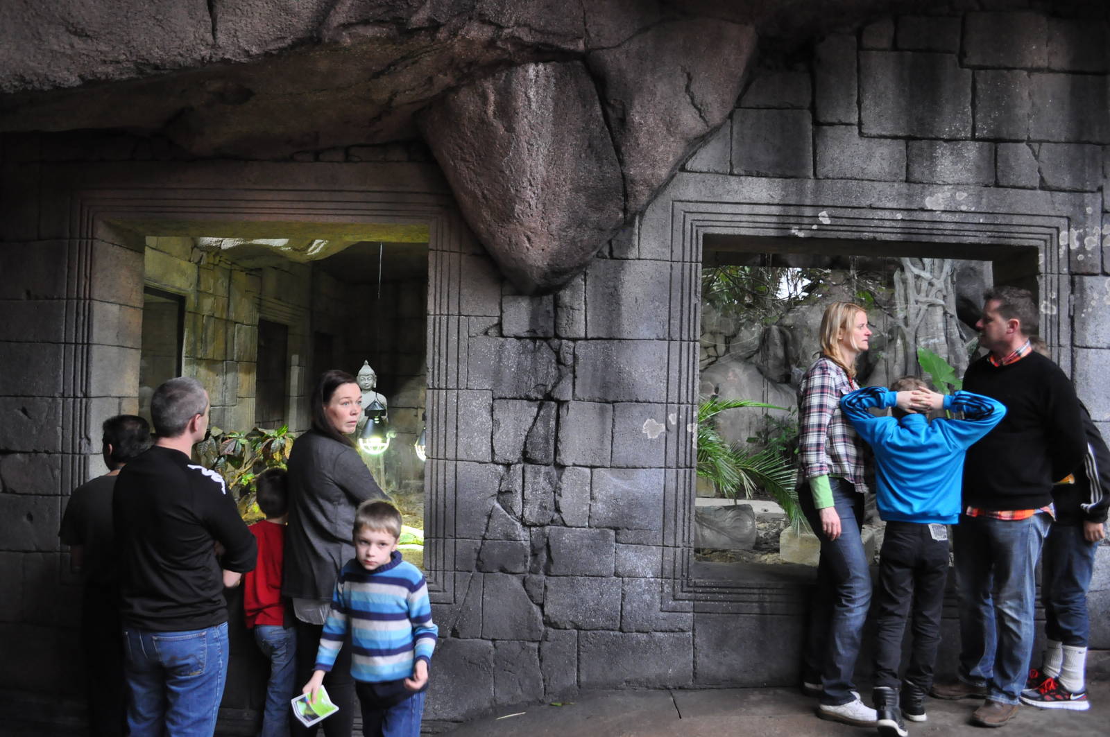 Asia Dome - Komodo Dragon