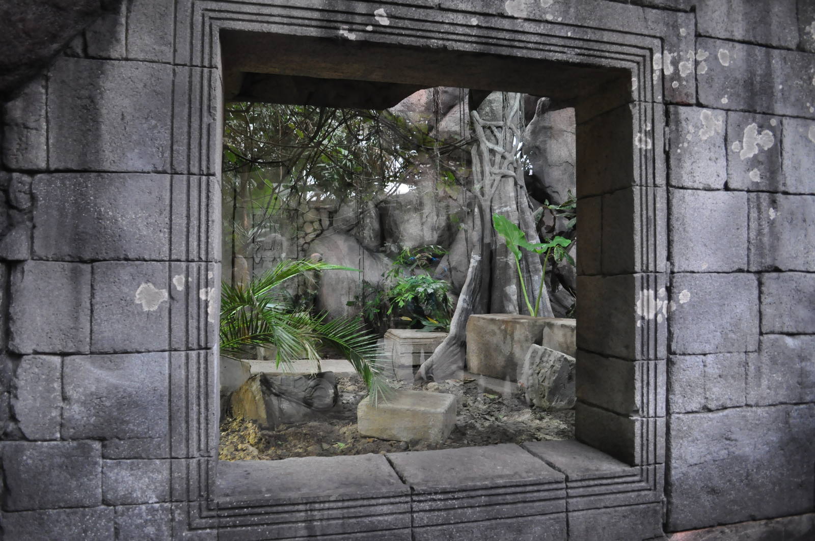 Asia Dome - Komodo Dragon