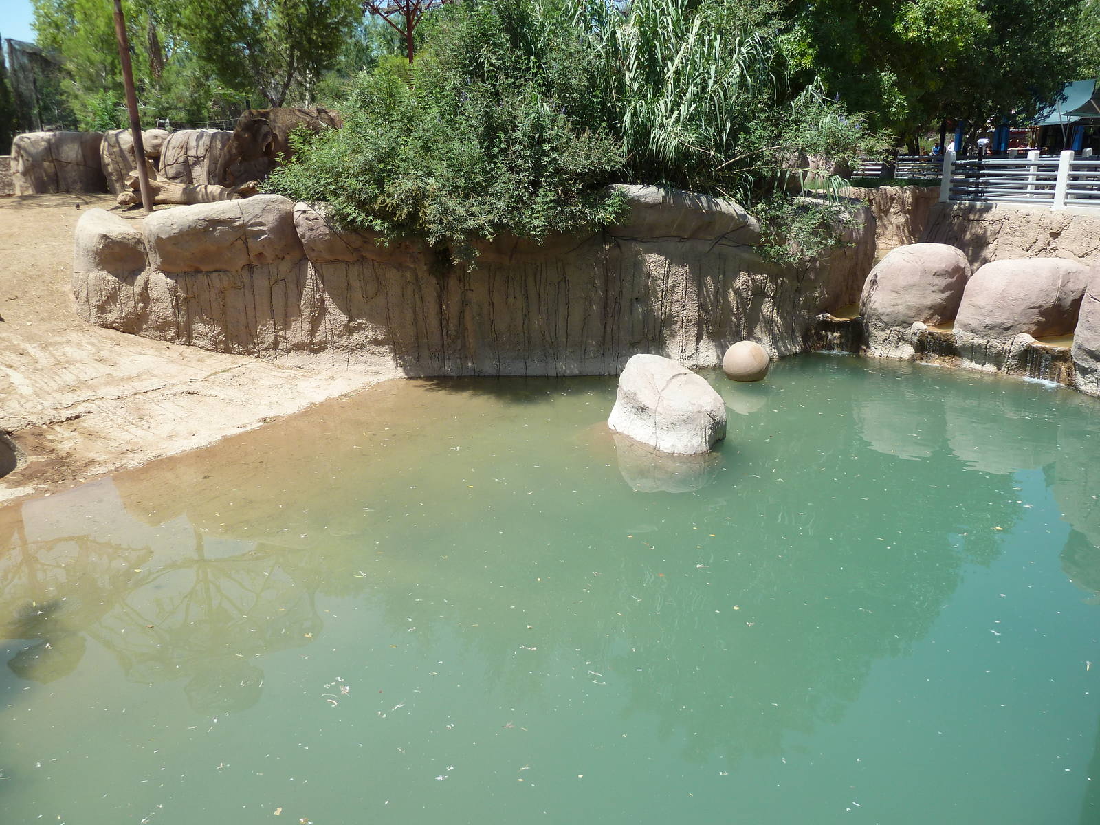 Asia - Elephant Exhibit Pool