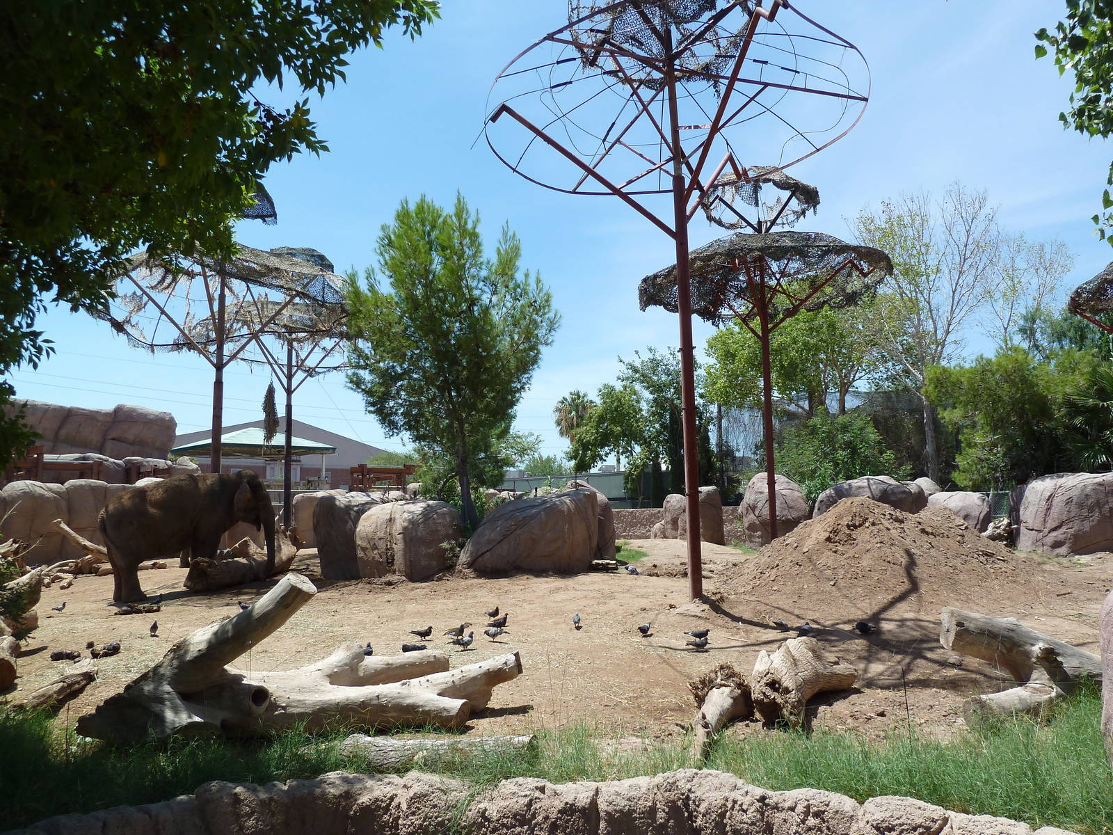 Asia - Elephant Exhibit