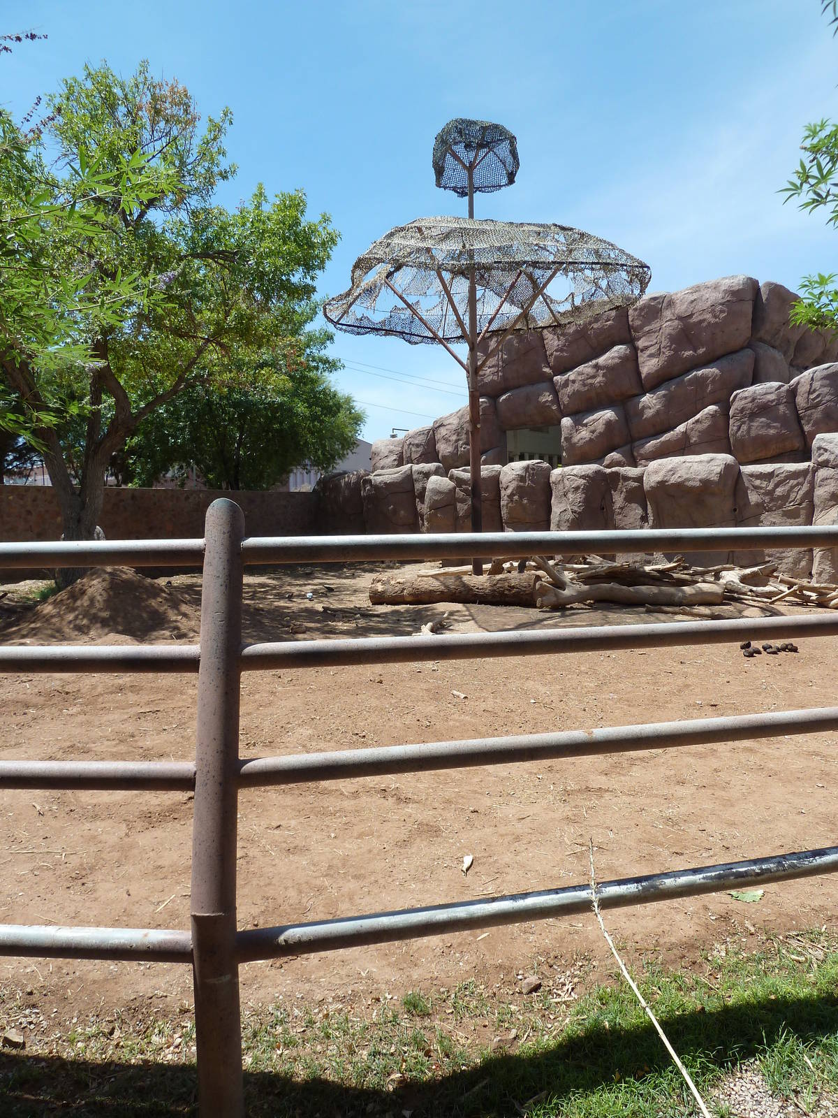 Asia - Elephant Presentation Yard