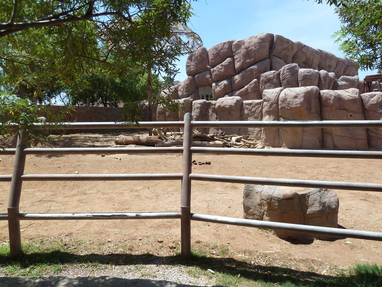 Asia - Elephant Presentation Yard