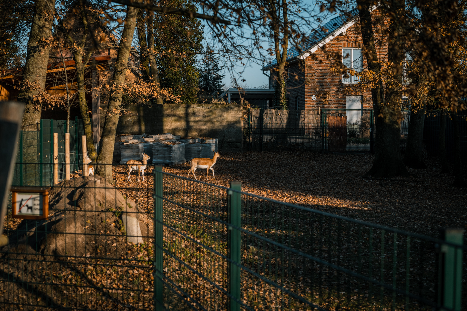 Asia enclosure back part