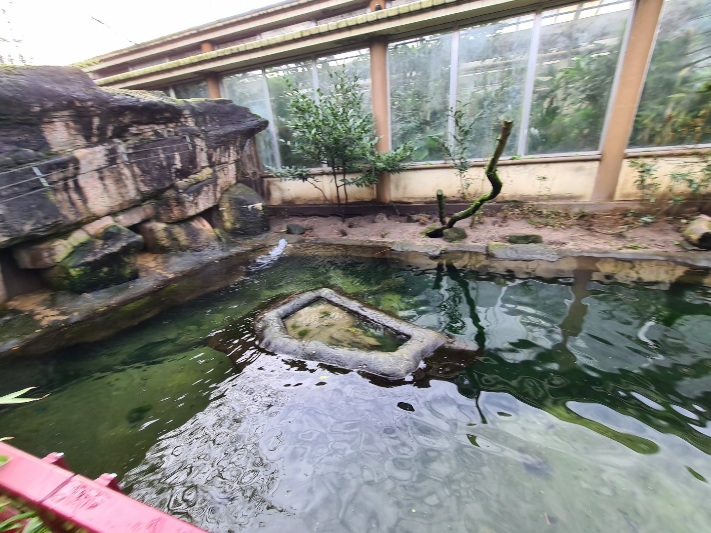 Asia - Eurasian otter enclosure in Chinese Garden