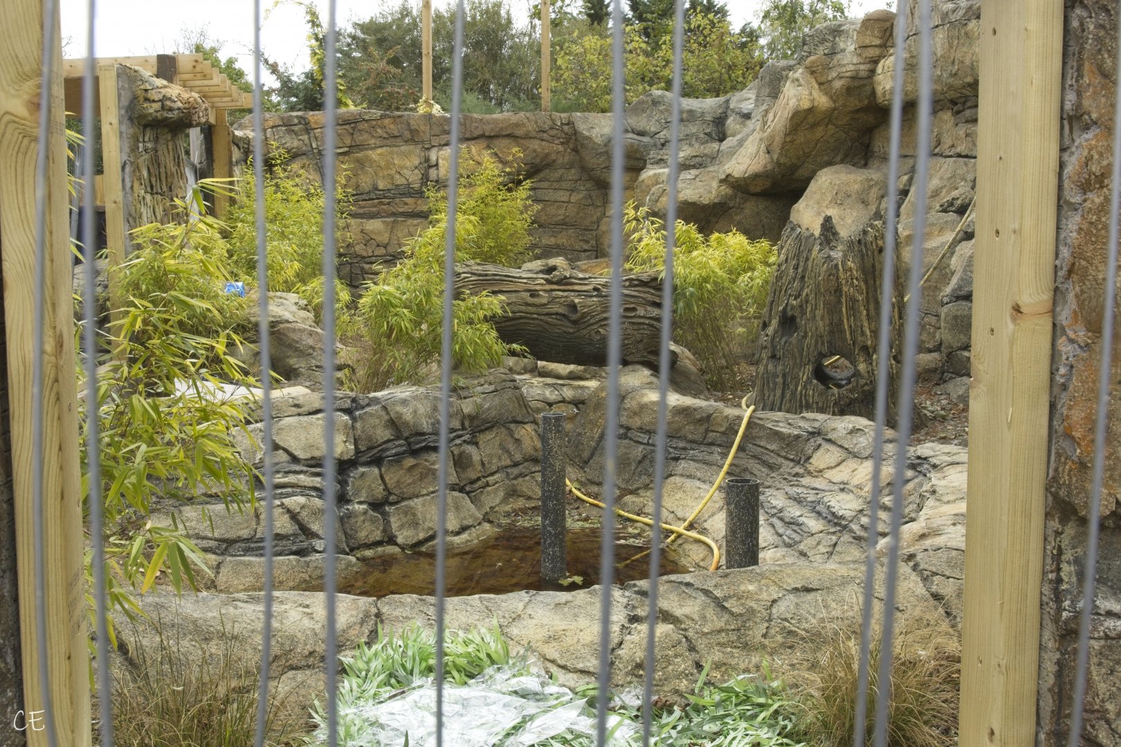 Asia Exhibit (not finished)