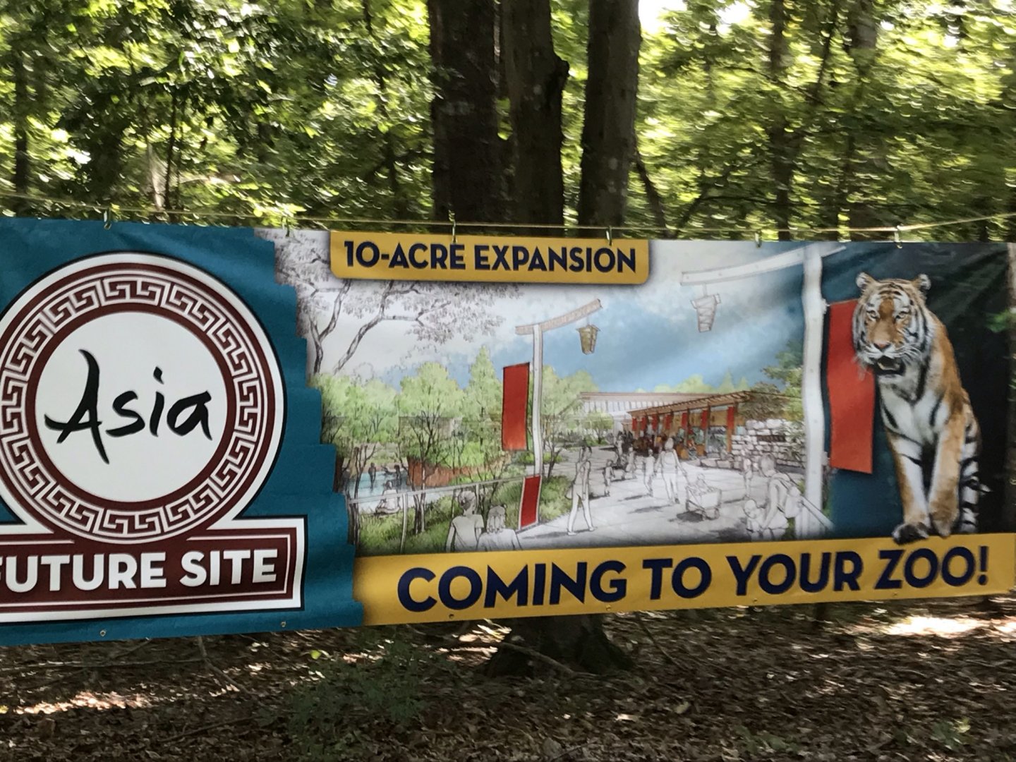 Asia Expansion Sign from Tram Road
