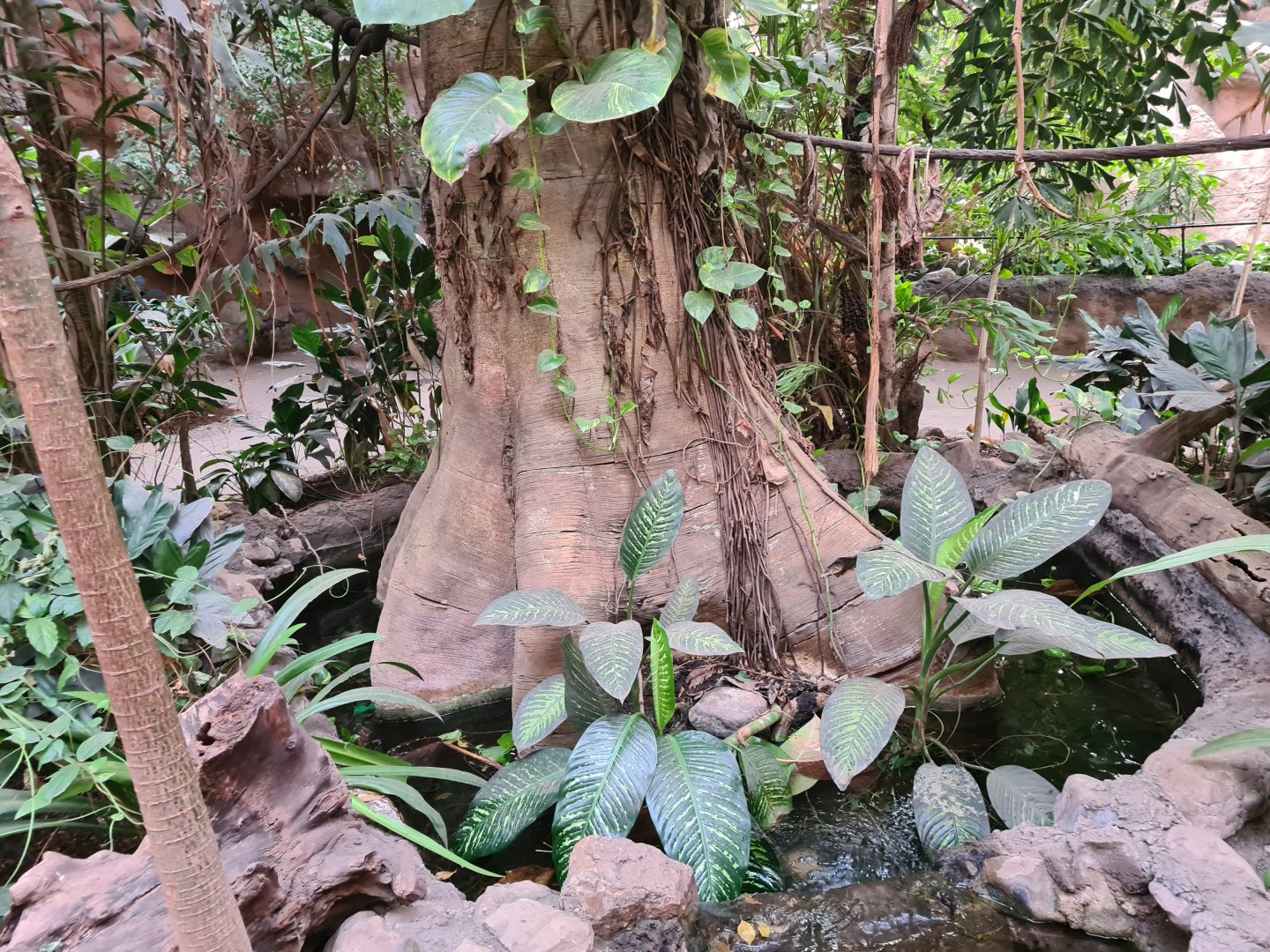 Asia - Faux tree in Taman Indah