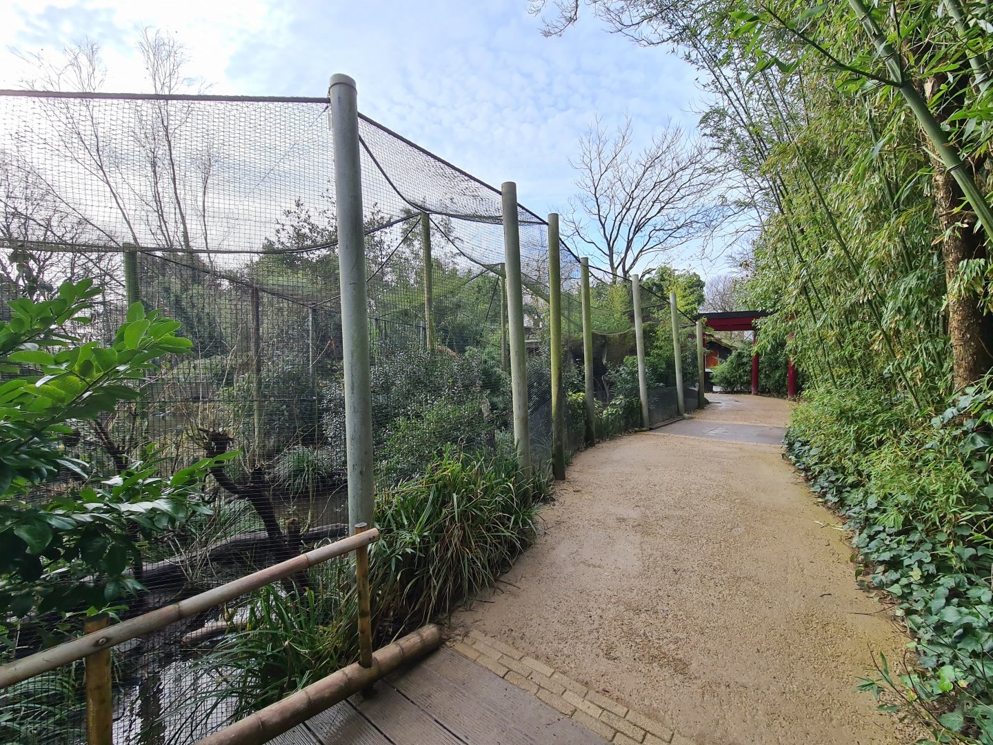 Asia - Fishing cat enclosure