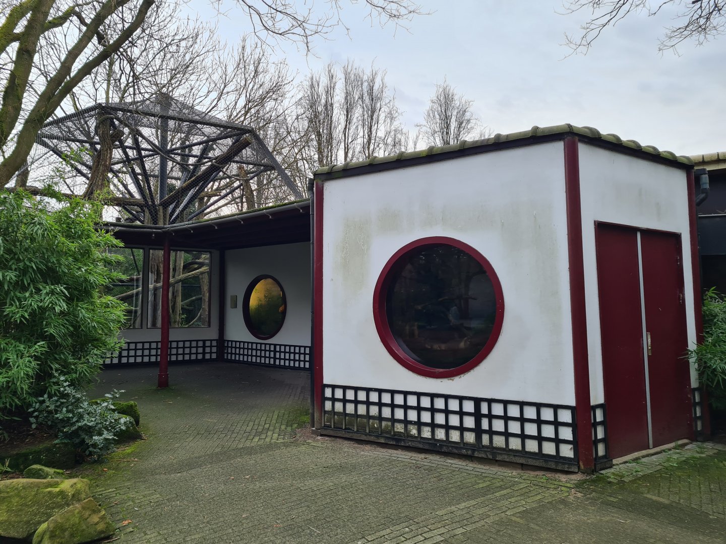 Asia - Francois langur building