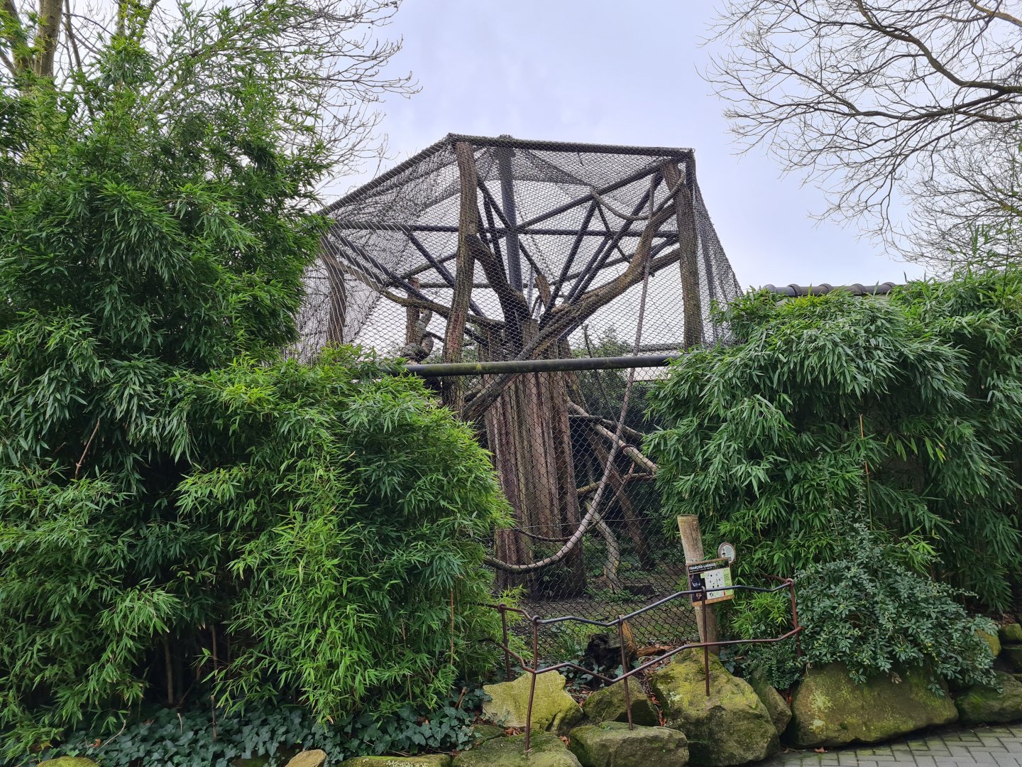 Asia - Francois langur enclosure