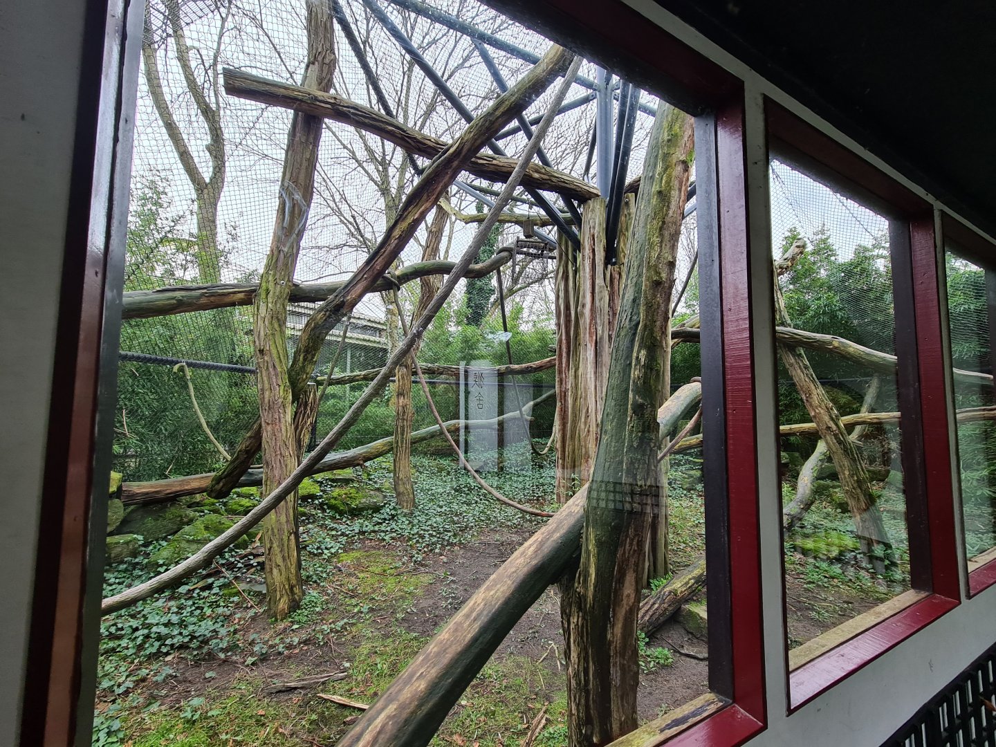 Asia - Francois langur enclosure