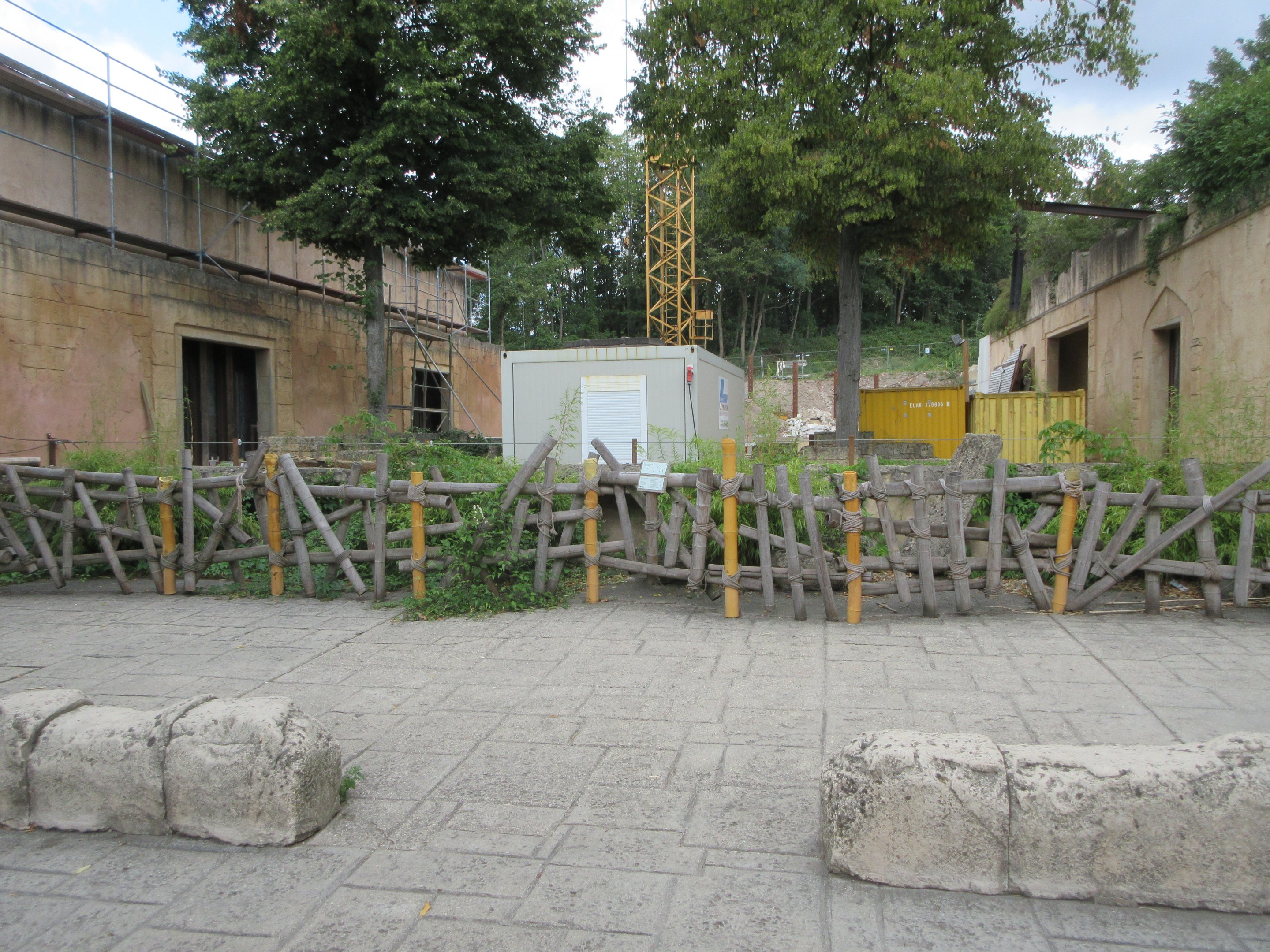 Asia - Future Bull Asian Elephant Exhibit