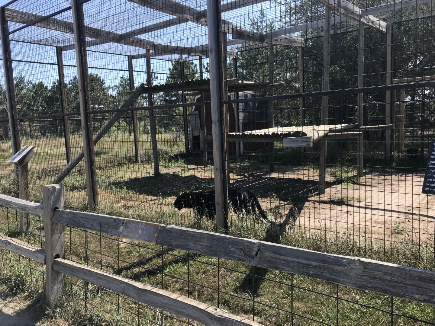 Asia- generic leopard exhibit #2