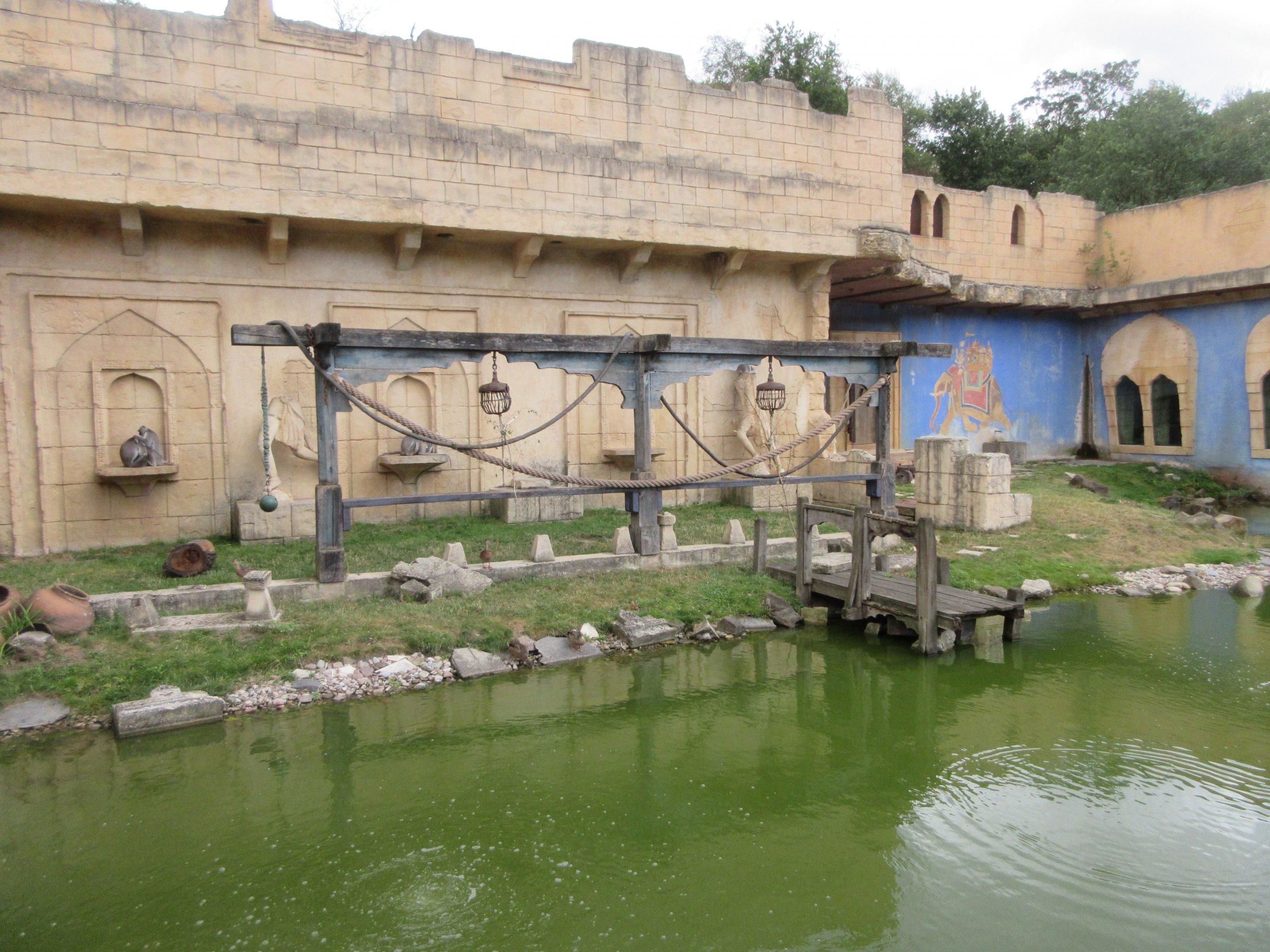 Asia - Hanuman Langur Exhibit