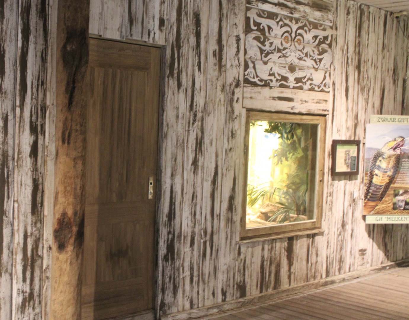 Asia House - Cobra enclosure