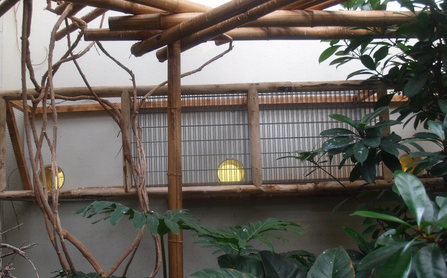 Asia House - Connections to off-show bird housing, 2015-07-19