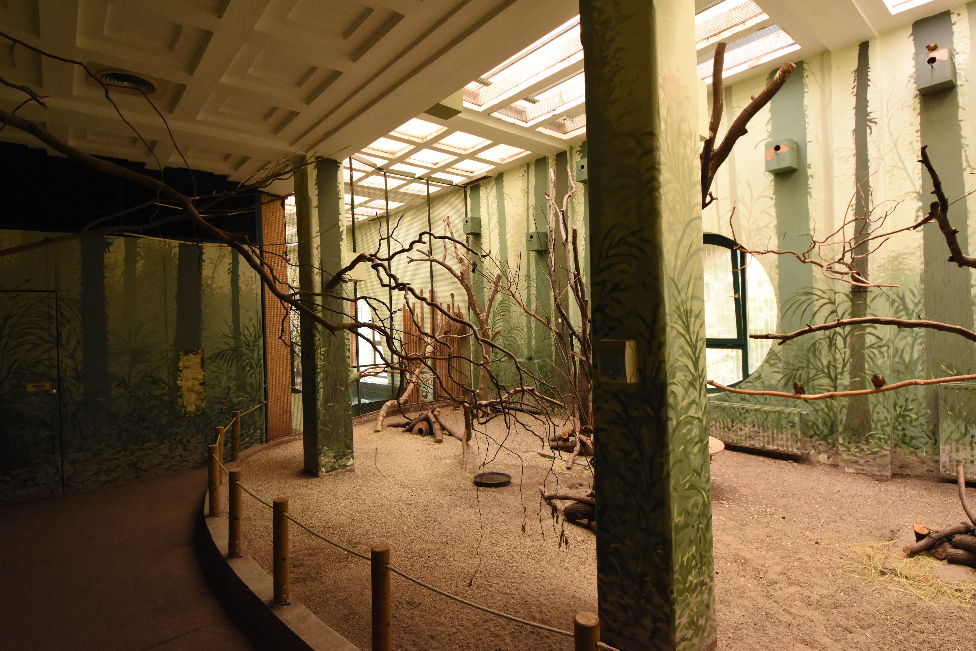 Asia house - Freeflight