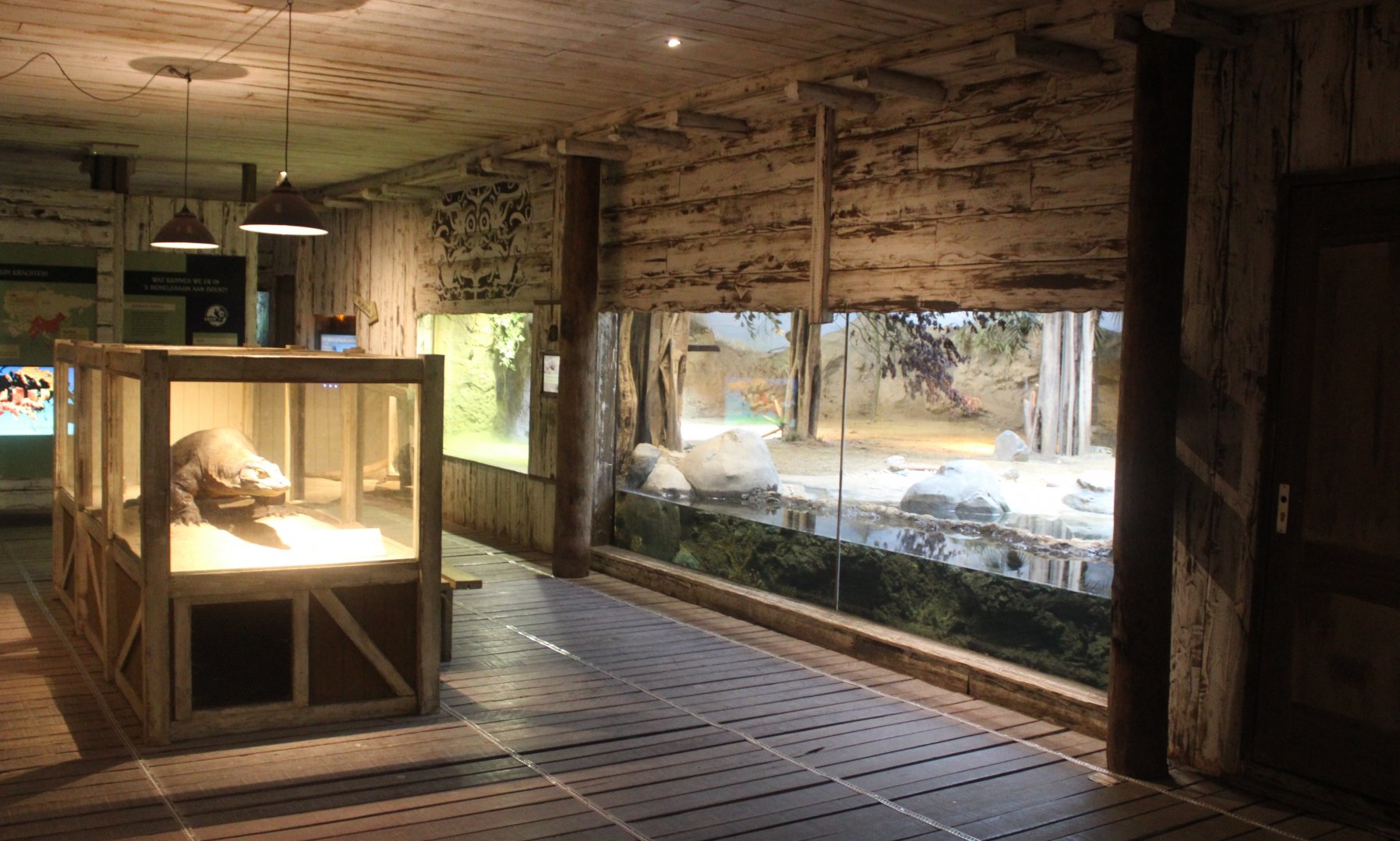 Asia House - Komodo dragon enclosure