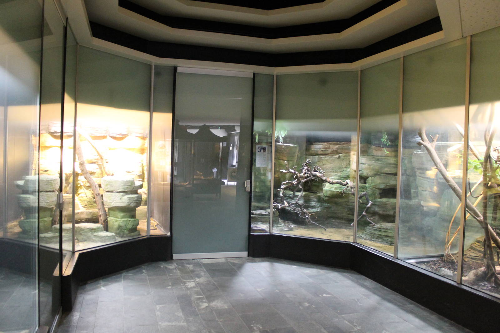 Asia House - Snake & invertebrate exhibits