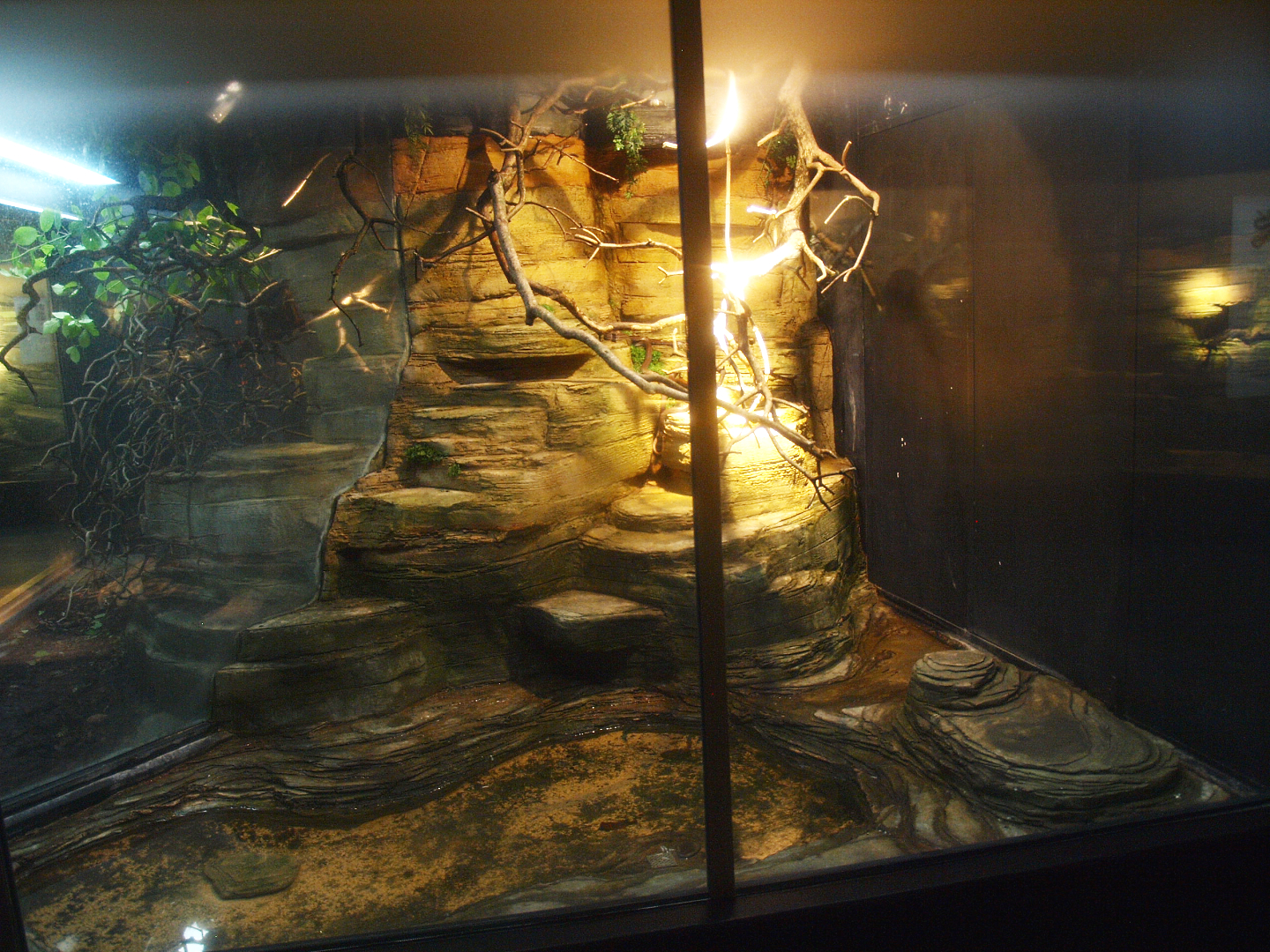 Asia House - Terrarium, 2015-07-19