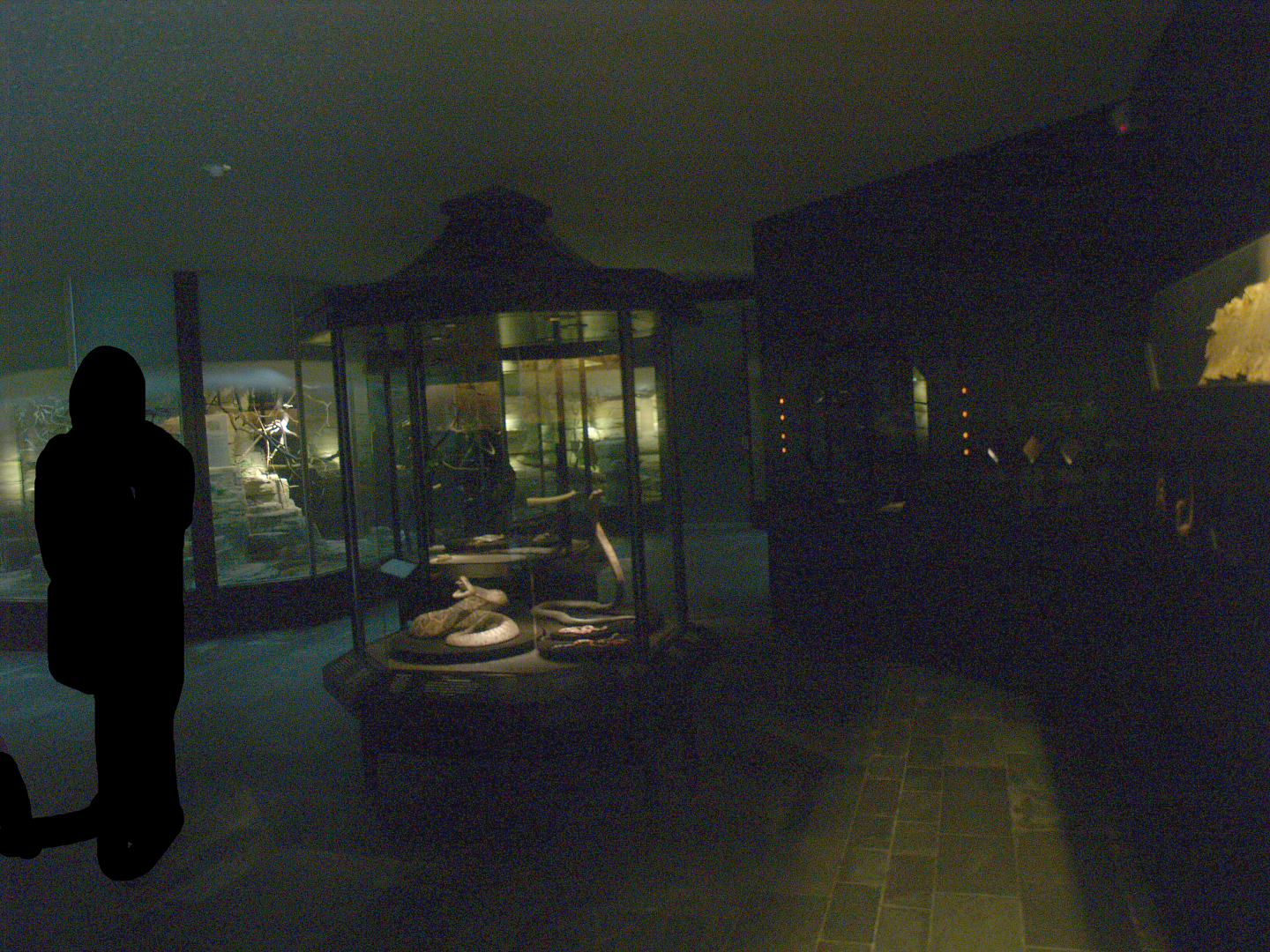 Asia House - Terrarium and education space, 2008-03-01