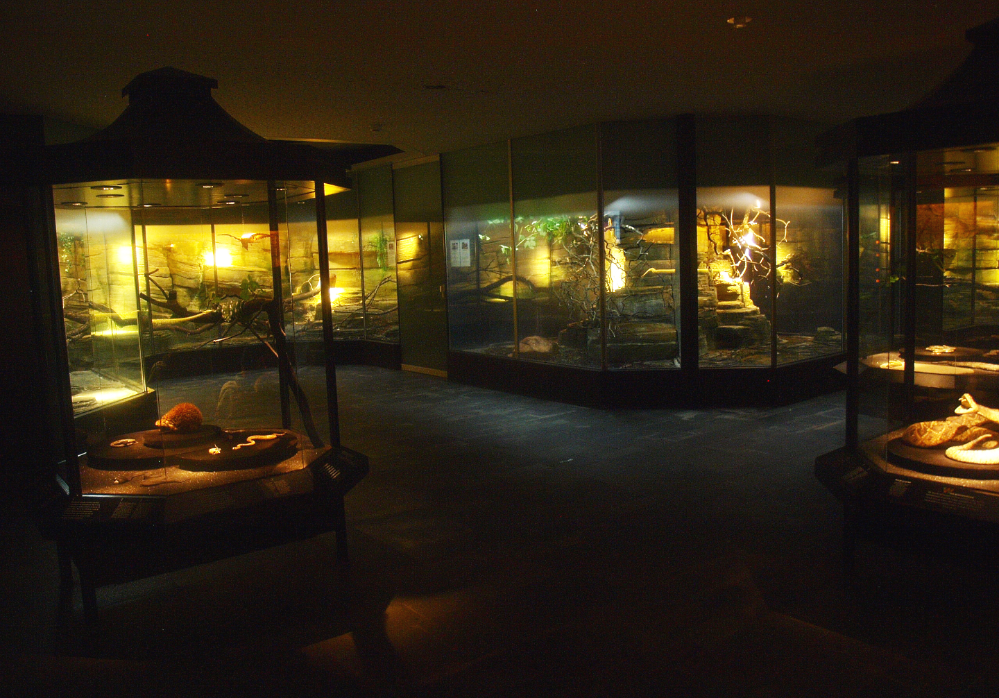 Asia House terrarium room, 2015-07-19