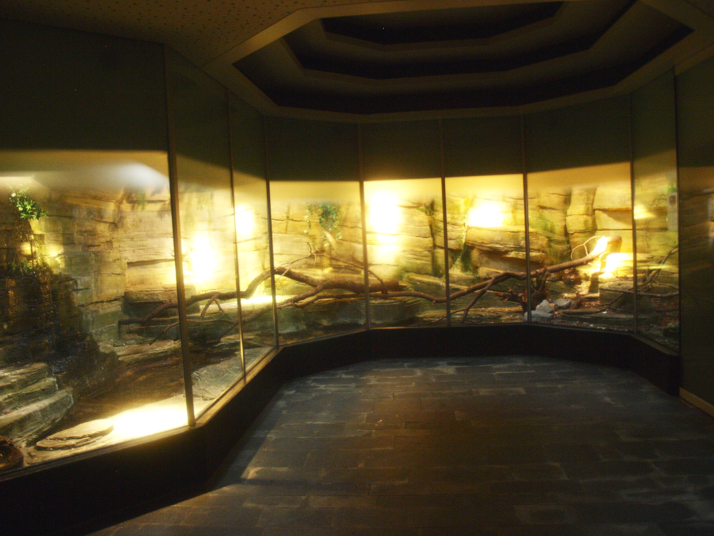 Asia House terrariums, 2015-07-19