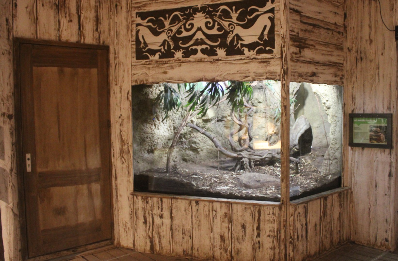 Asia House - Tree-shrew enclosure