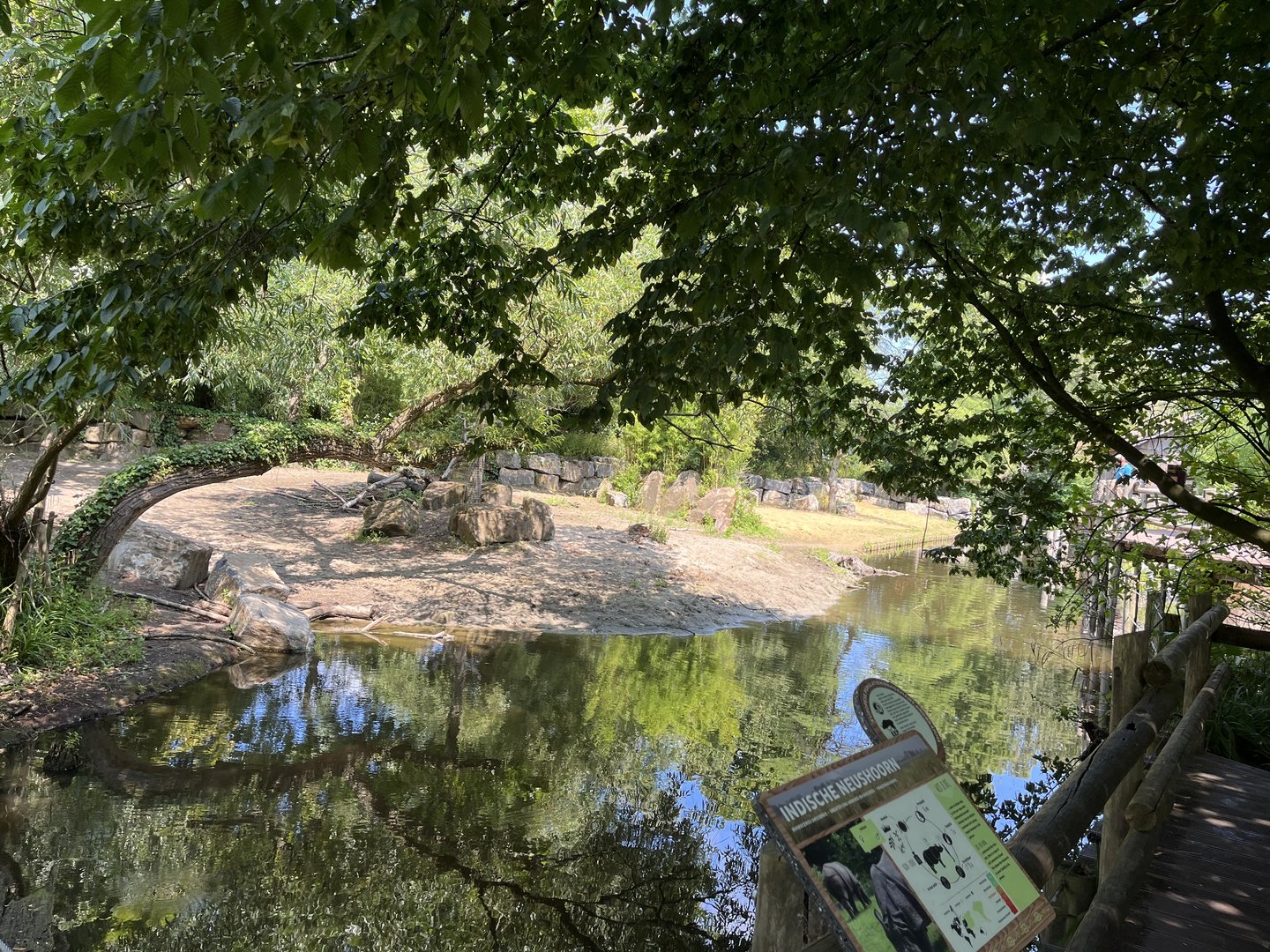 Asia- Indian rhino enclosure 13.7.23