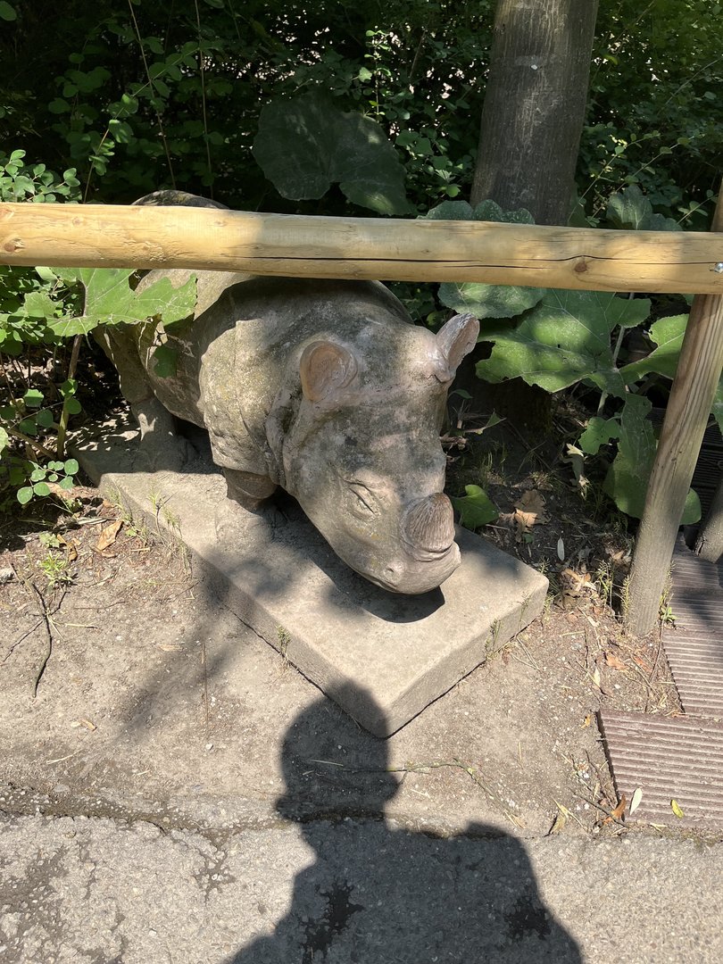 Asia- Indian rhino statue 13.7.23