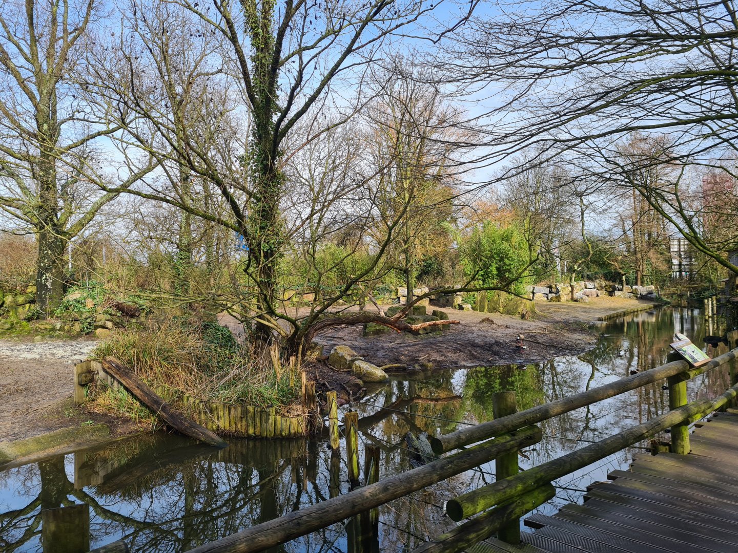 Asia - Indian Rhinoceros enclosure