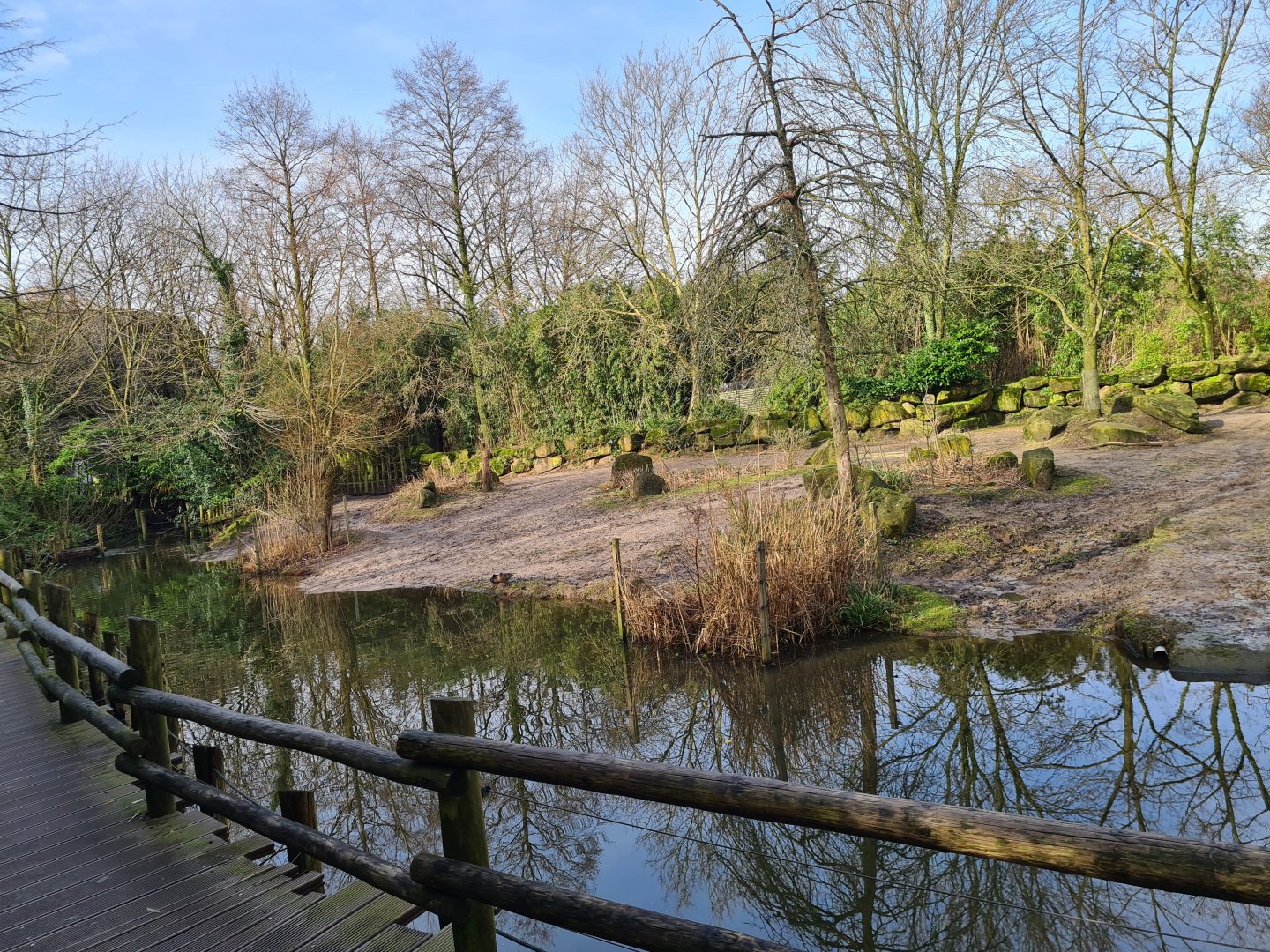 Asia - Indian Rhinoceros enclosure