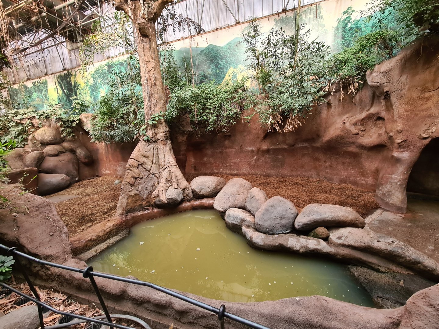 Asia - Indian Rhinoceros indoor enclosure in Taman Indah