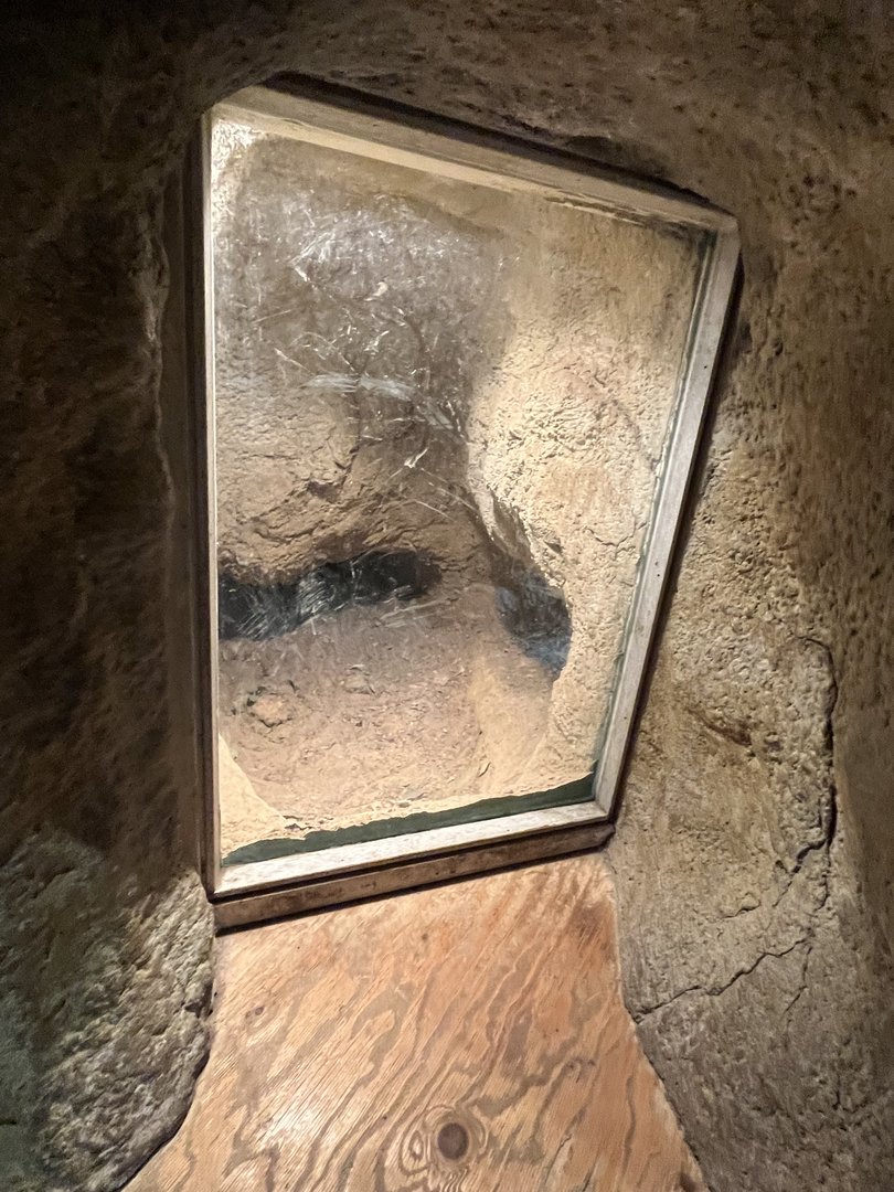 Asia- Komodo dragon den 13.7.23