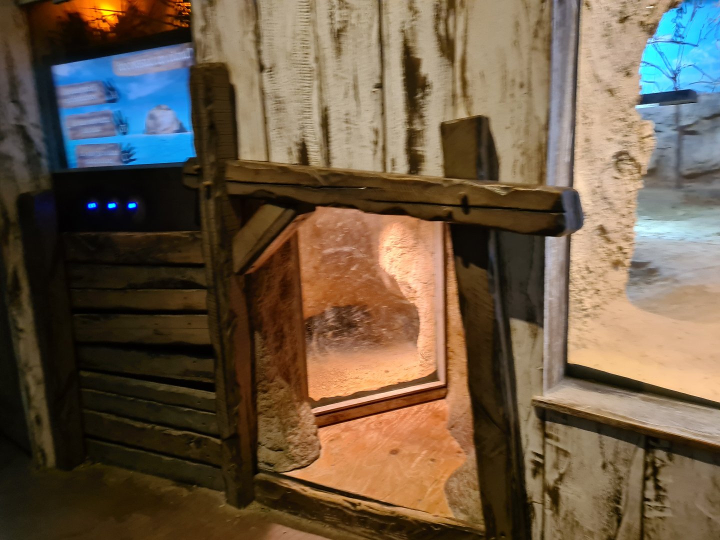 Asia - Komodo dragon den viewing