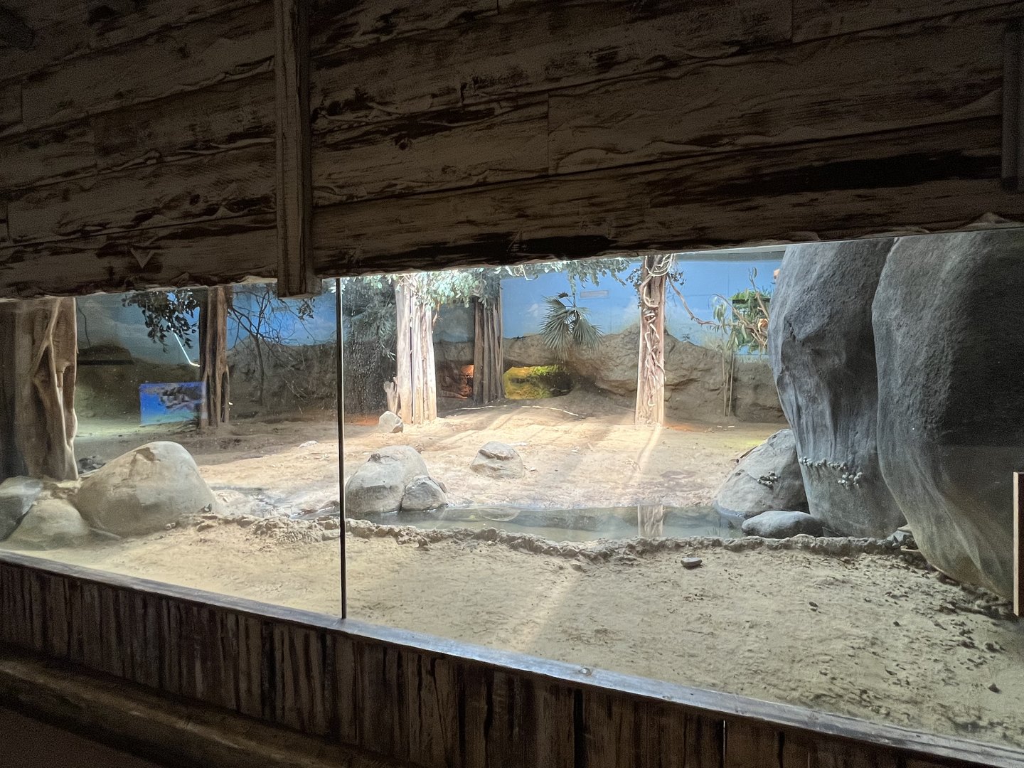 Asia- Komodo dragon enclosure 13.7.23