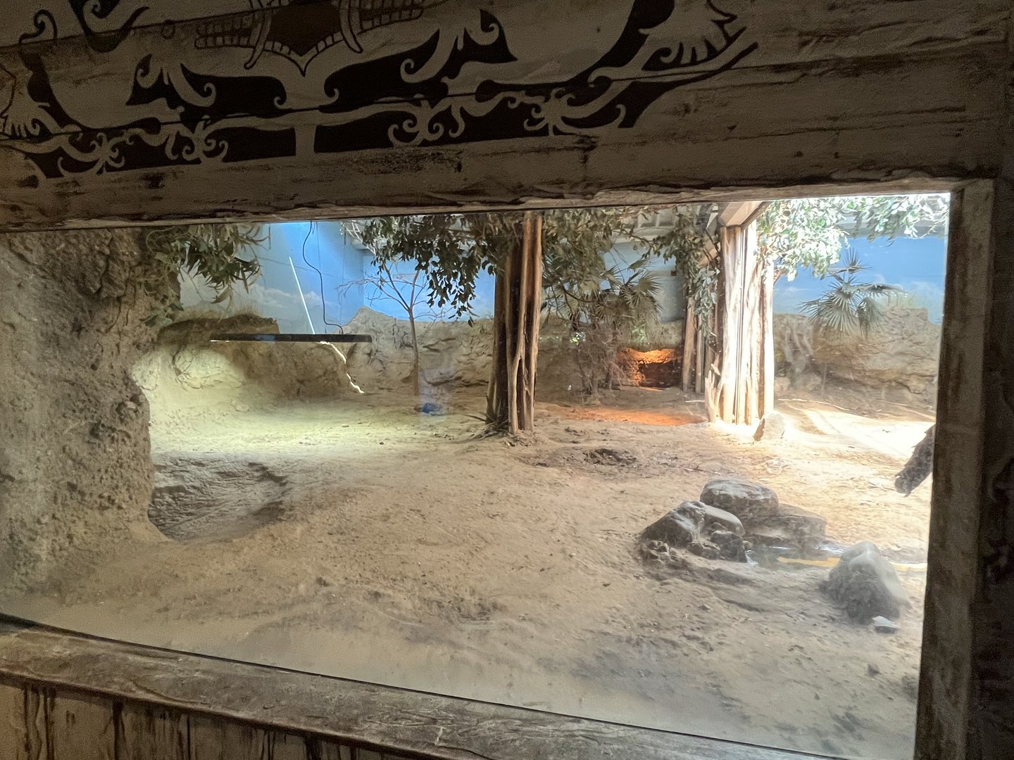 Asia- Komodo dragon enclosure 13.7.23