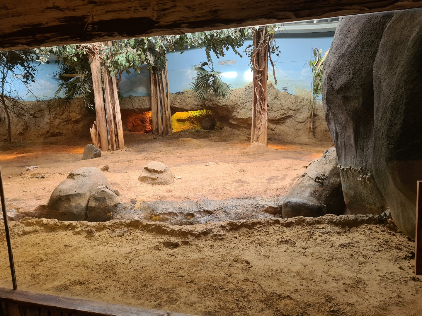 Asia - Komodo dragon enclosure in Rumah Asia