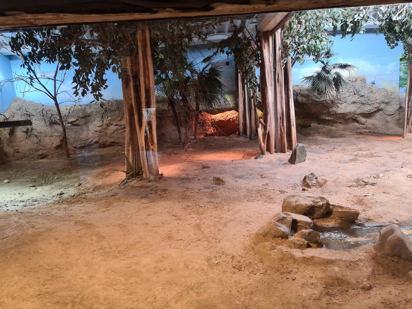 Asia - Komodo dragon enclosure in Rumah Asia